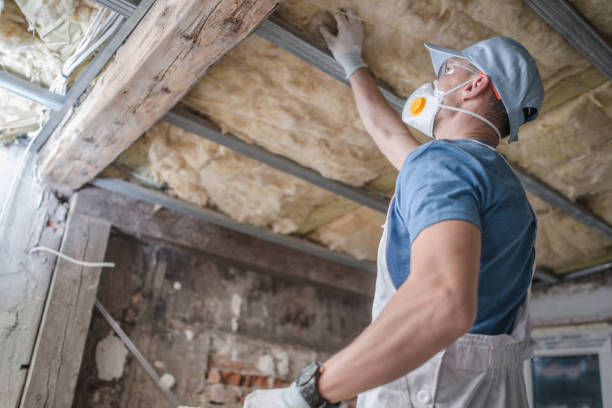 Best Residential Insulation in Yosemite Valley, CA