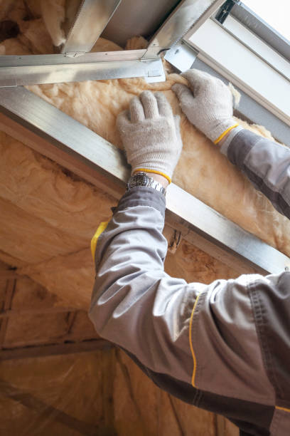 Best Cellulose Insulation in Yosemite Valley, CA